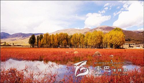 稻城亞?。?一個美得驚世駭俗的地方