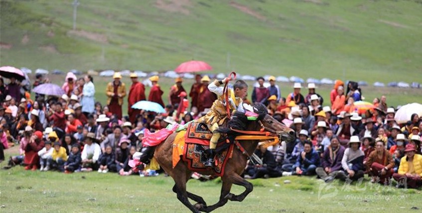 格?；ㄊ㈤_ 牧民馬背上一顯身手