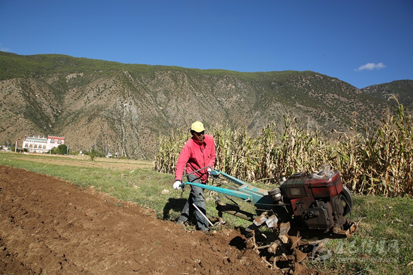 田園藏鄉(xiāng)美如畫(huà)，百姓脫貧喜在心