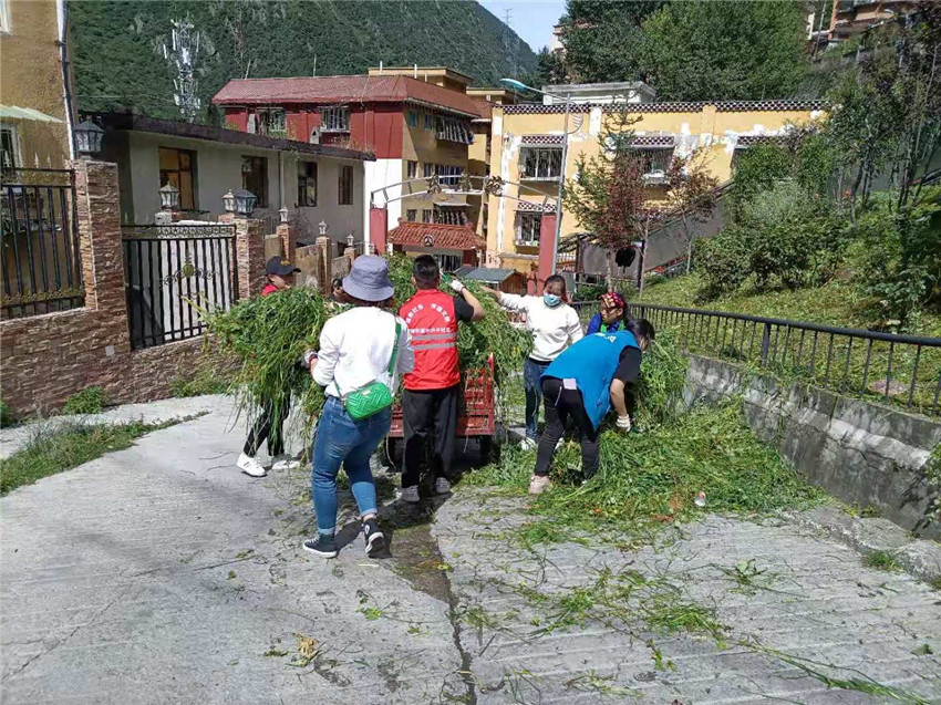 向陽(yáng)社區(qū).jpg 向陽(yáng)社區(qū).jpg