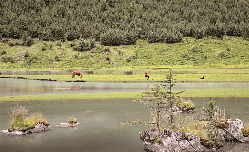 去甘孜 邂逅絕美湖泊海子！