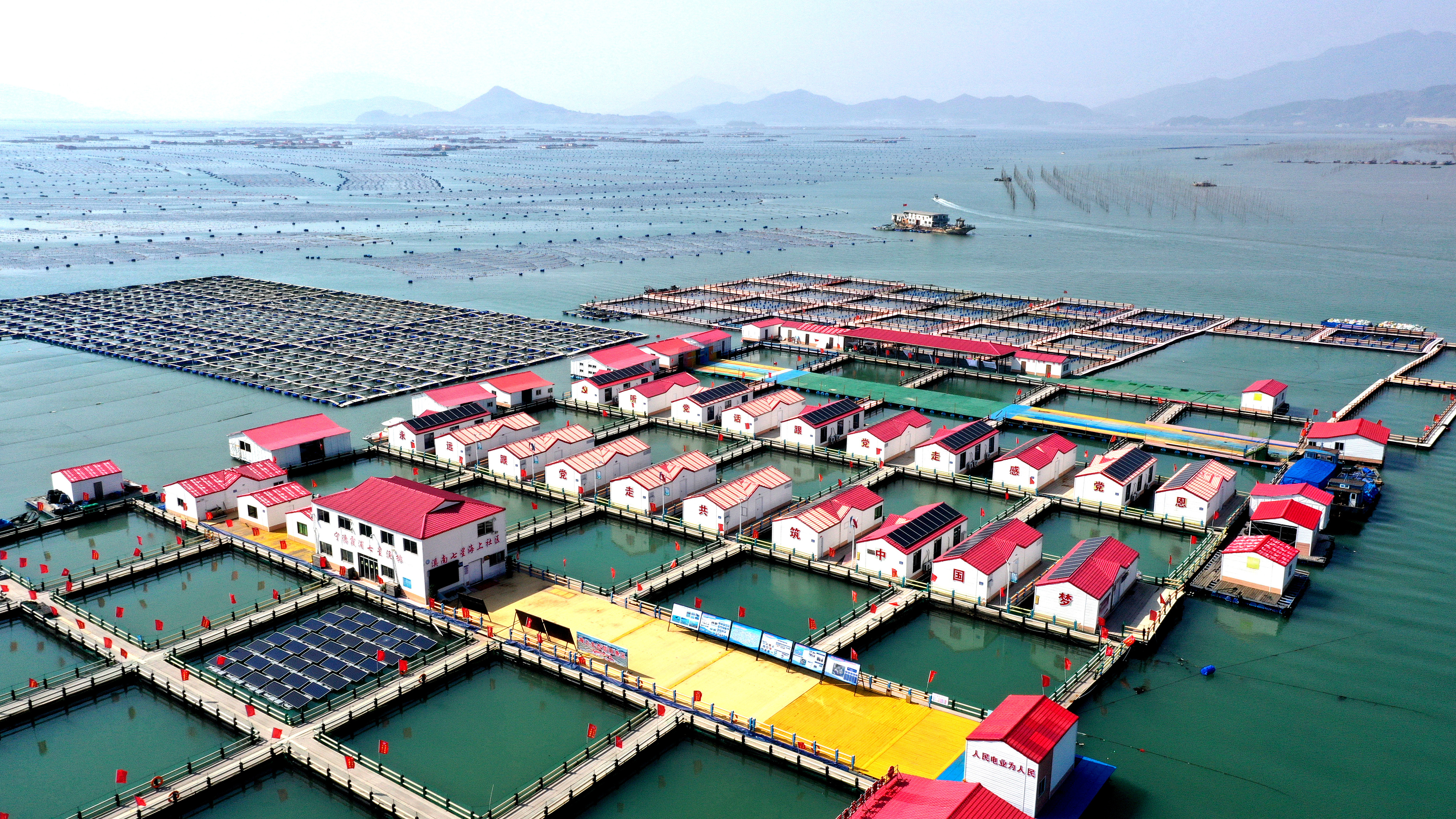 2024年3月20日，福建省寧德市，霞浦縣溪南鎮(zhèn)七星村漁排養(yǎng)殖示范區(qū)，漁民駕駛養(yǎng)殖船進行海參養(yǎng)殖作業(yè)。